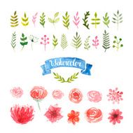 Watercolor flowers laurels and leaves
