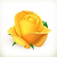 Rose flower vector illustration