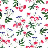 Bunches and cornflower watercolor seamless vector print