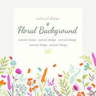 Floral background with flowers and herbs N3