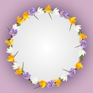 Background wreath of spring flowers crocus N2