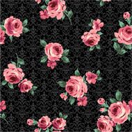 repetition of the rose N72