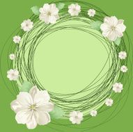 white flowers and round
