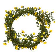 Frame with yellow roses
