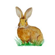 Watercolor bunny on the meadow
