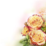 Yellow - pink roses watercolor background N2