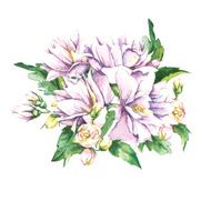 Floral Bouquet with Blooming Jasmine N7