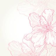 Vector illustration Pink flowers