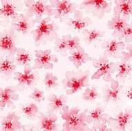 Watercolor background of pink flowers N2