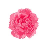 Rose pink separate vector N2