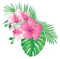 Tropical pink flowers N2