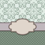 Vintage vector flower frame N81