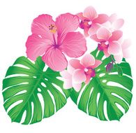 Pink Hibiscus and Orchid Flowers N2