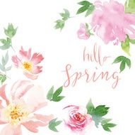 Watercolor spring flowers N8