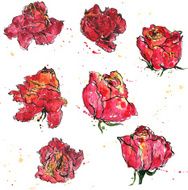 watercolor vector floral set N12