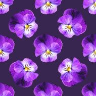 Seamless pattern with pansies on a dark background N2