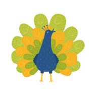 Cute majestic peafowl