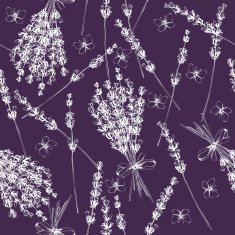 lavender flowers sketch N2