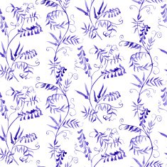wild vetch