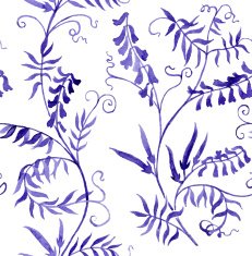 wild vetch N2
