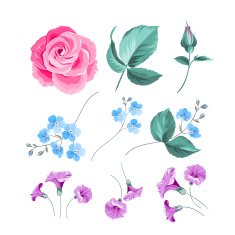 Set of flowers N21