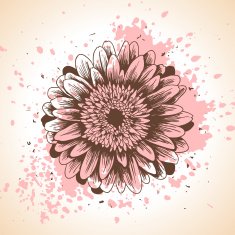 Hand drawn floral background with paint splash and gerbera flower