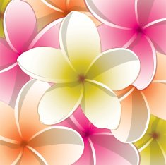 All purpose bright frangipani card in vector format N4