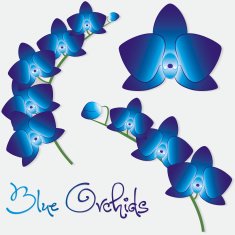 Orchid flower set in vector format N6