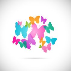 Colorful Butterflies N7