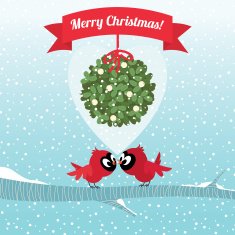 Birds kissing under a branch of mistletoe Christmas