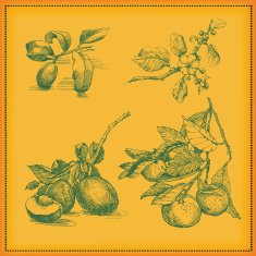 Fruits N23