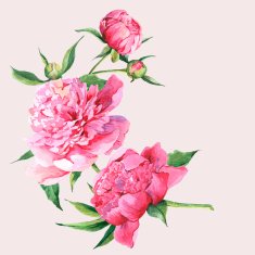 Pink watercolor peonies vintage greeting card N7