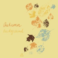Autumn background with leaves N35