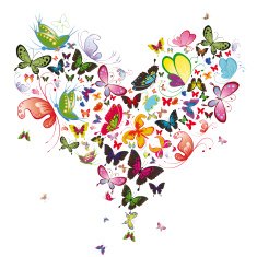 Abstract heart butterfly vector