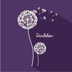Flowers design N253