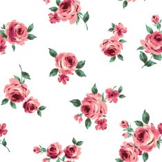 repetition of the rose N52