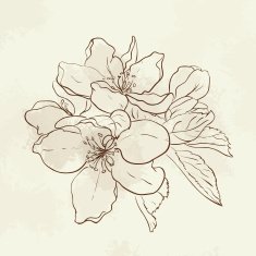 Vintage floral card apple tree flowers Vector illustration