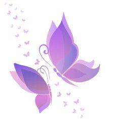 Ornamented abstract transparent silhouette butterflies