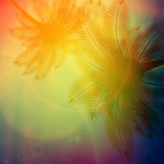 Palm trees with beautiful sunset N14