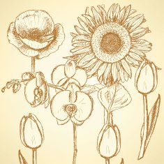 Sketch flowers vector vintage backgrounds N2