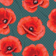 Romantic pattern of flower poppies N2