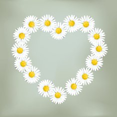 Heart of daisies (Loves me loves me not &hellip;)