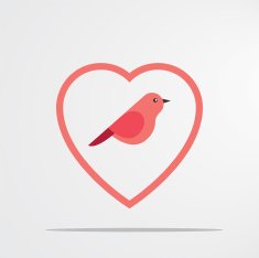 Love Bird N10
