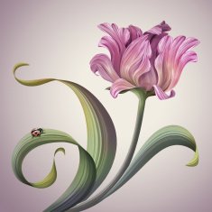 vintage tulip flower illustration
