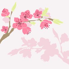 Cherry branch in blossom Seasonal background N2