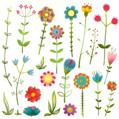 Colorful Cartoon Wild Flowers Isolated Collection