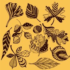 Set of leaves N3