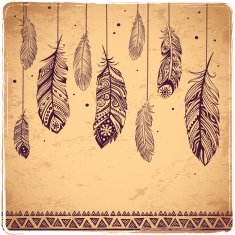 Beautiful Feathers illustration N2