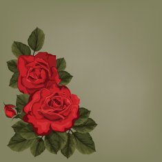 Invitation card with rose - Illustration