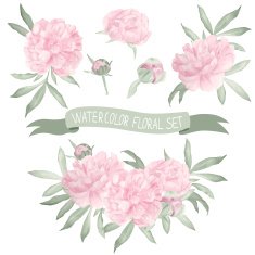 watercolor floral set N17